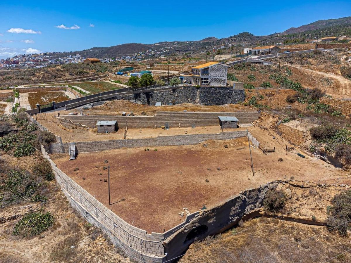 Finca Los Blanquitos Amazing With 3,000 M2 Of Land Гранадиля де Абона Екстериор снимка